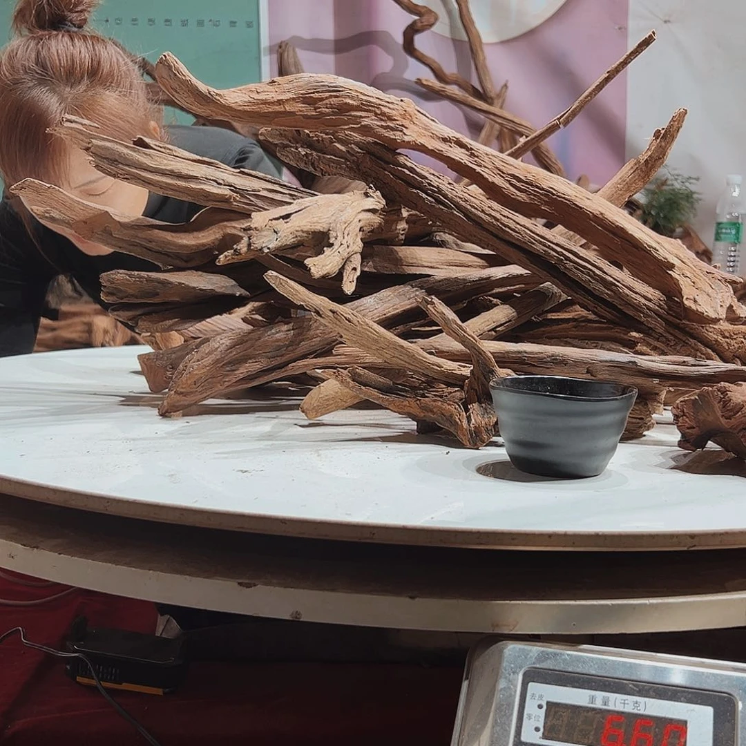 紫砂镂空教****构紫柚枝条3201