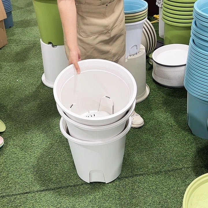 正品圆形控根口38高35白色无托3只
