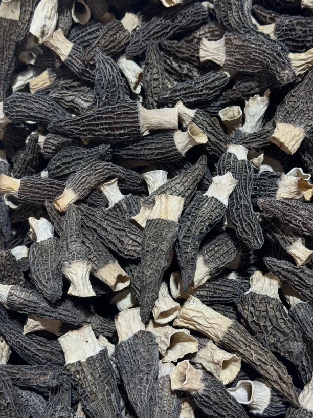 3-6手选2025新货头茬精品密纹六妹干羊肚菌