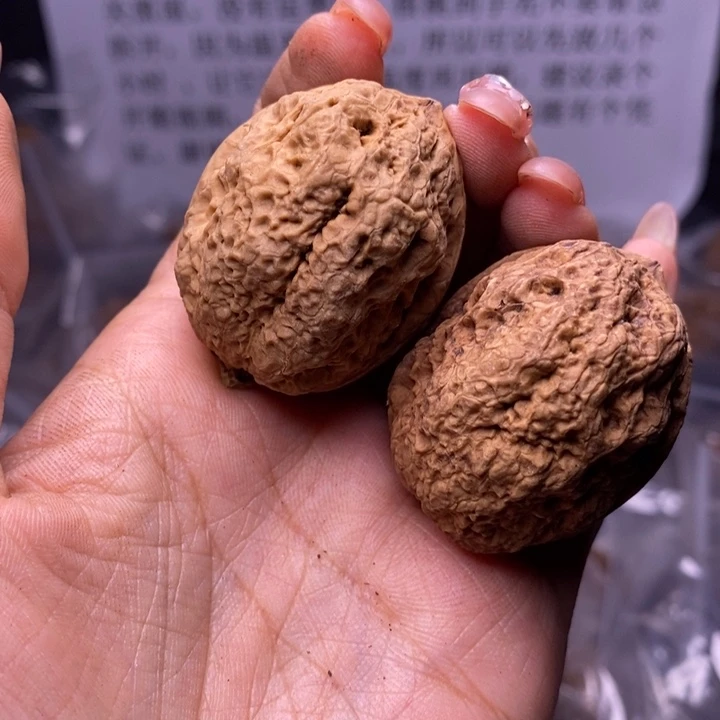 核桃云南野生铁核桃117号40