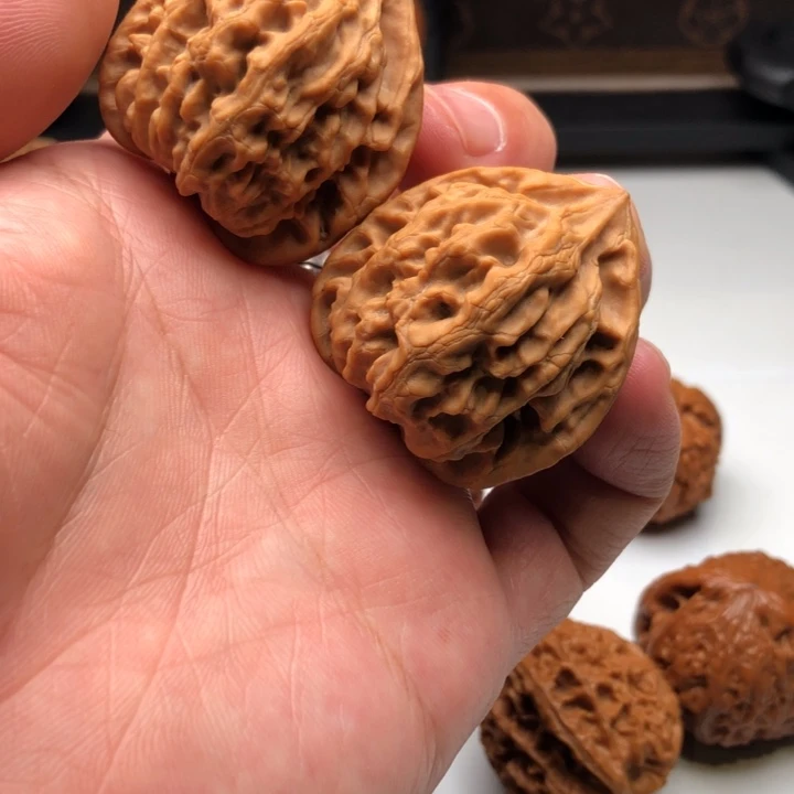 莫公子全品顺丰快递不包邮