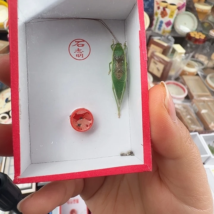 蟋蟀石志明单口金钟…………