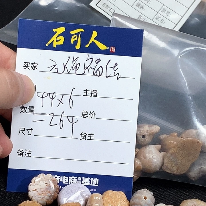 元***结硅化珊瑚（珊瑚玉）未镶嵌颈饰