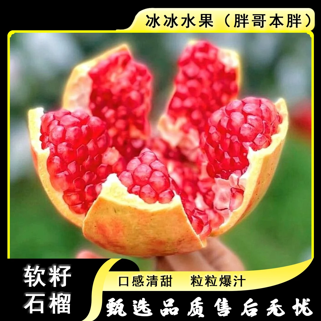 【散装】[Y]软籽石榴 份/5颗 仅限太原晋中吕梁忻州可拍