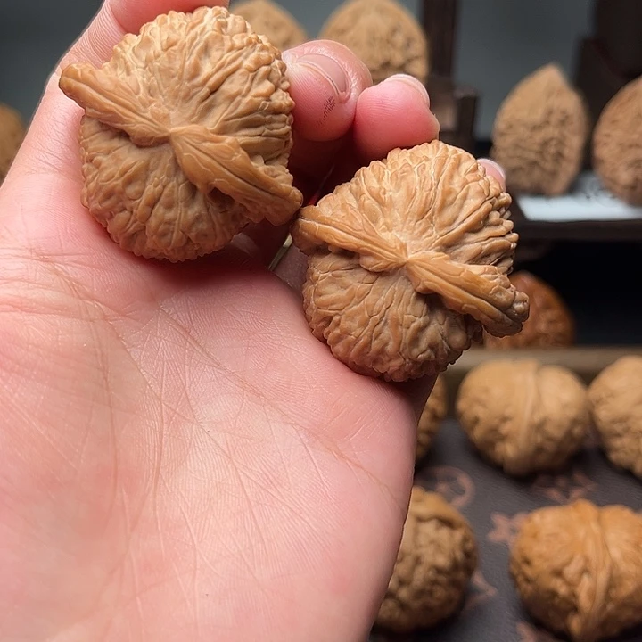 核桃42白狮子福利对