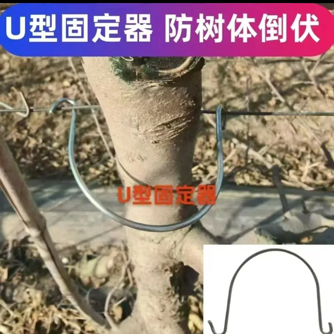 U型固定器防止小树倒扶半圆U型卡钢丝固定卡新建果园厂家批发铁丝