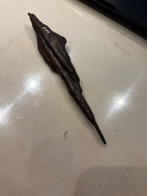 海南黄花梨老料280
