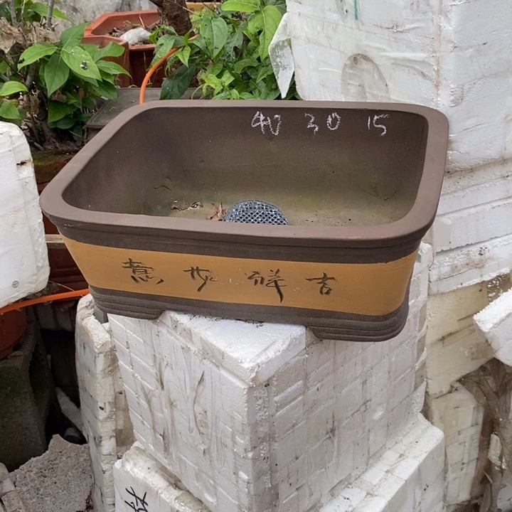 紫砂花盆哈哈哈哈哈