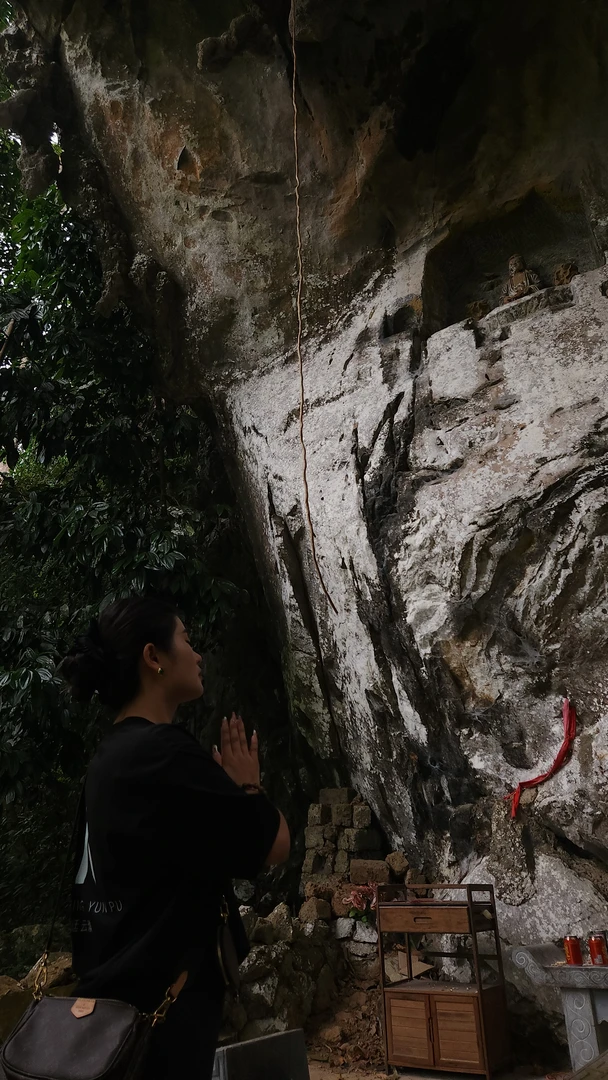 2019年倚邦观音崖古树普洱茶生茶