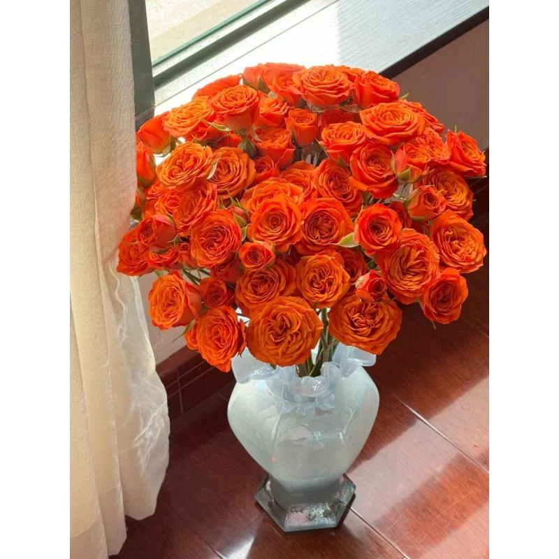 520鲜花【橙色芭比】橙色多头玫瑰 两单包邮 四单顺丰冷链包邮