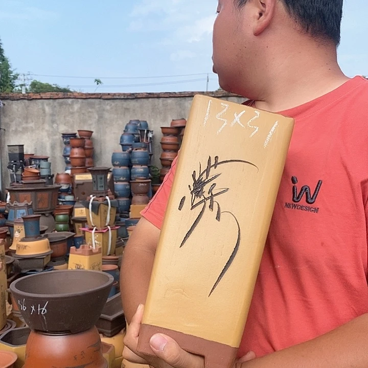 紫砂花盆盆栽植物种植