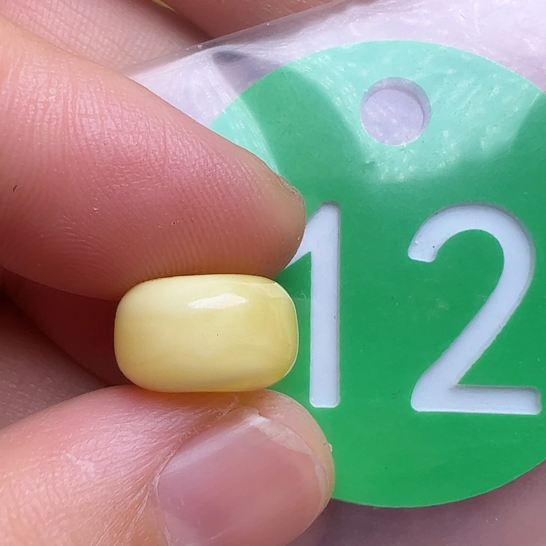 蜜蜡未镶嵌珠宝奇石11.6mm微瑕