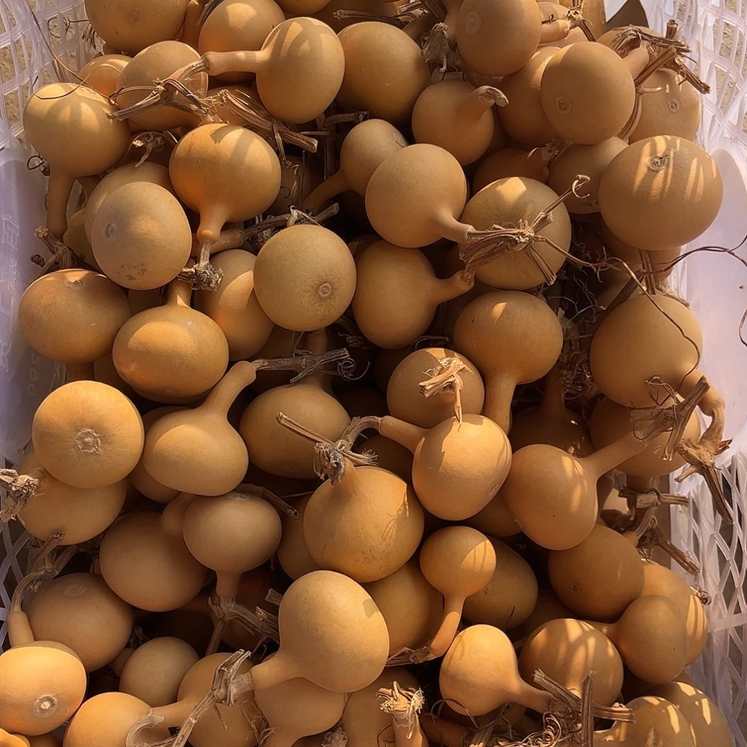 独霸通货大小都有微瑕