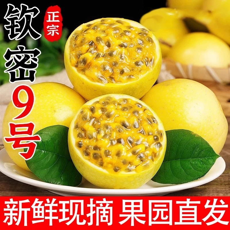 【宠粉福利】正宗广西钦蜜九号百香果黄金果桂林百香果当季水果包邮