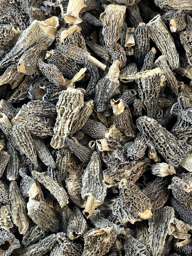 【奇形丑菇扁菇】云南头茬林地奇形菇破损 自吃性价比做肉馅