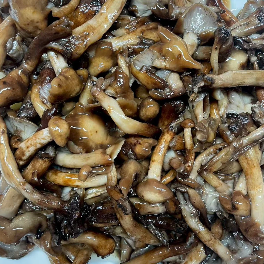 新鲜东北特产野生榛蘑美食佳品
