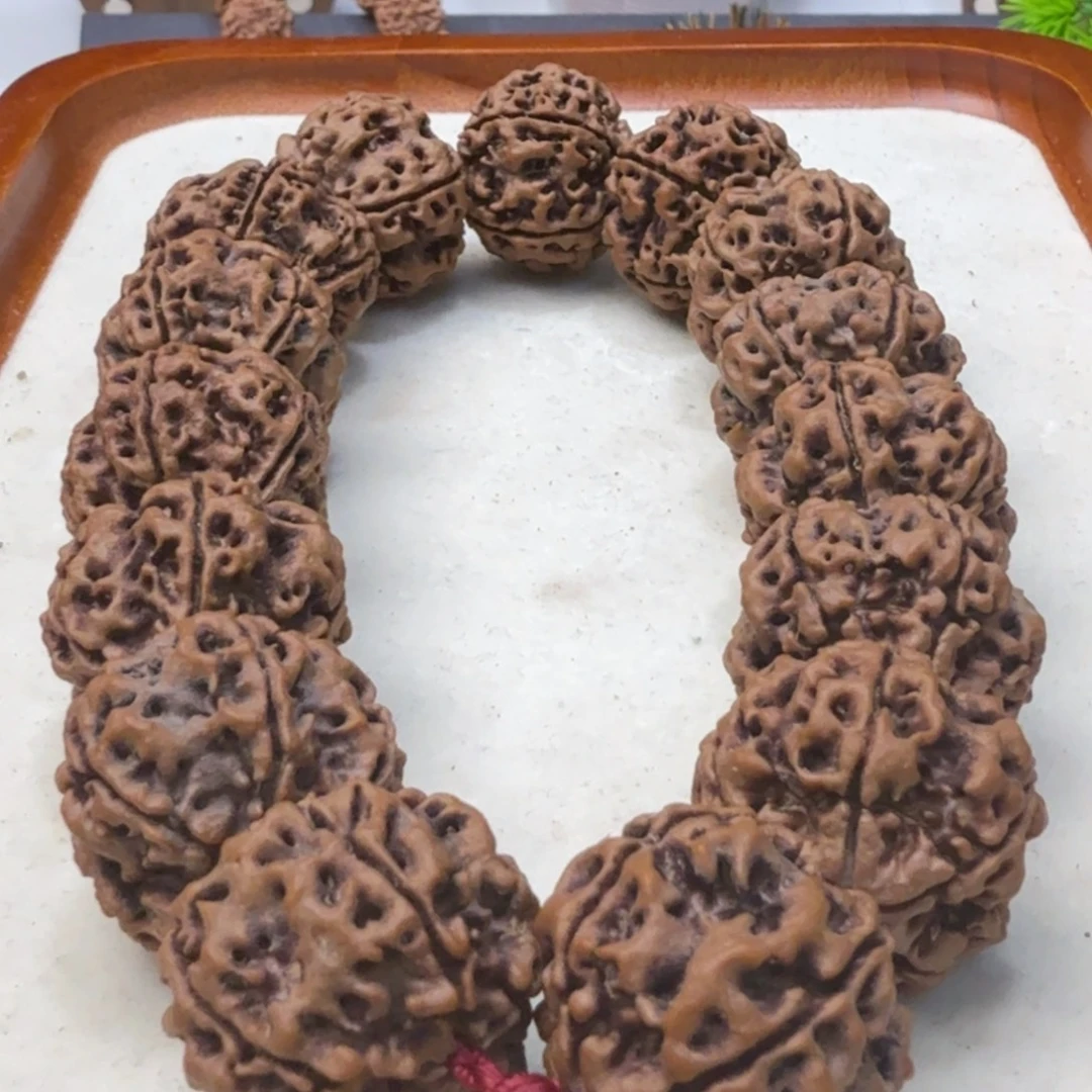 吊坠金刚菩提22➕粗筋蜂窝双龙爆肉