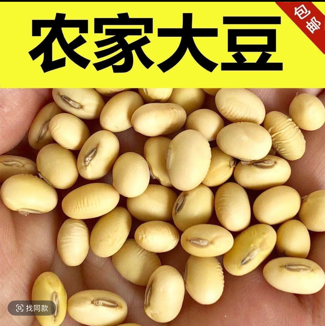 大豆农家带眼睛自种