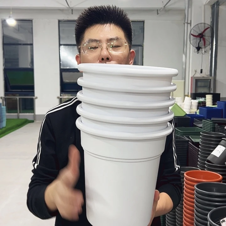 特价翻边口23高25白色5只无托