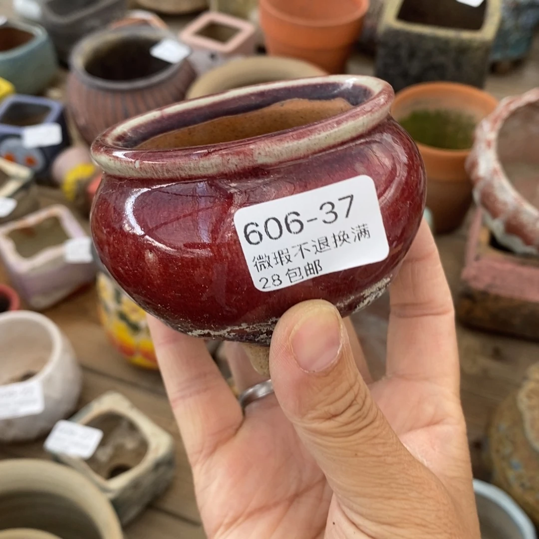 37号多肉盆口径6