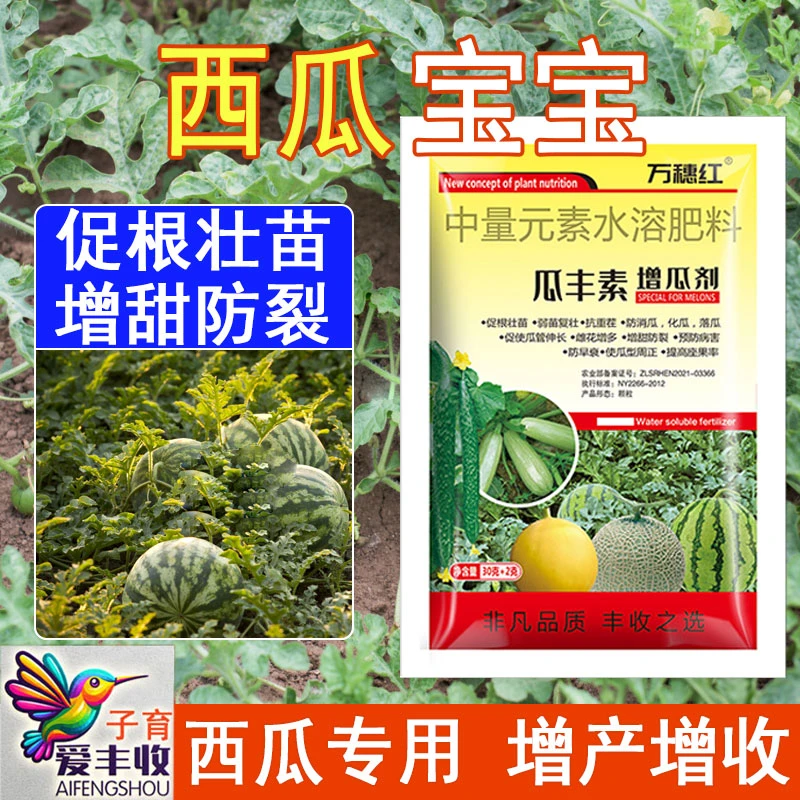 爱丰收【西瓜宝宝】西瓜种植增产膨大西瓜补钙镁膨壮西瓜农用肥料