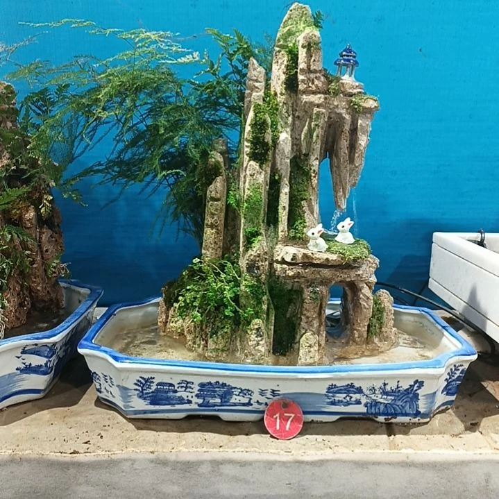 财**妇吸水石盆景假山