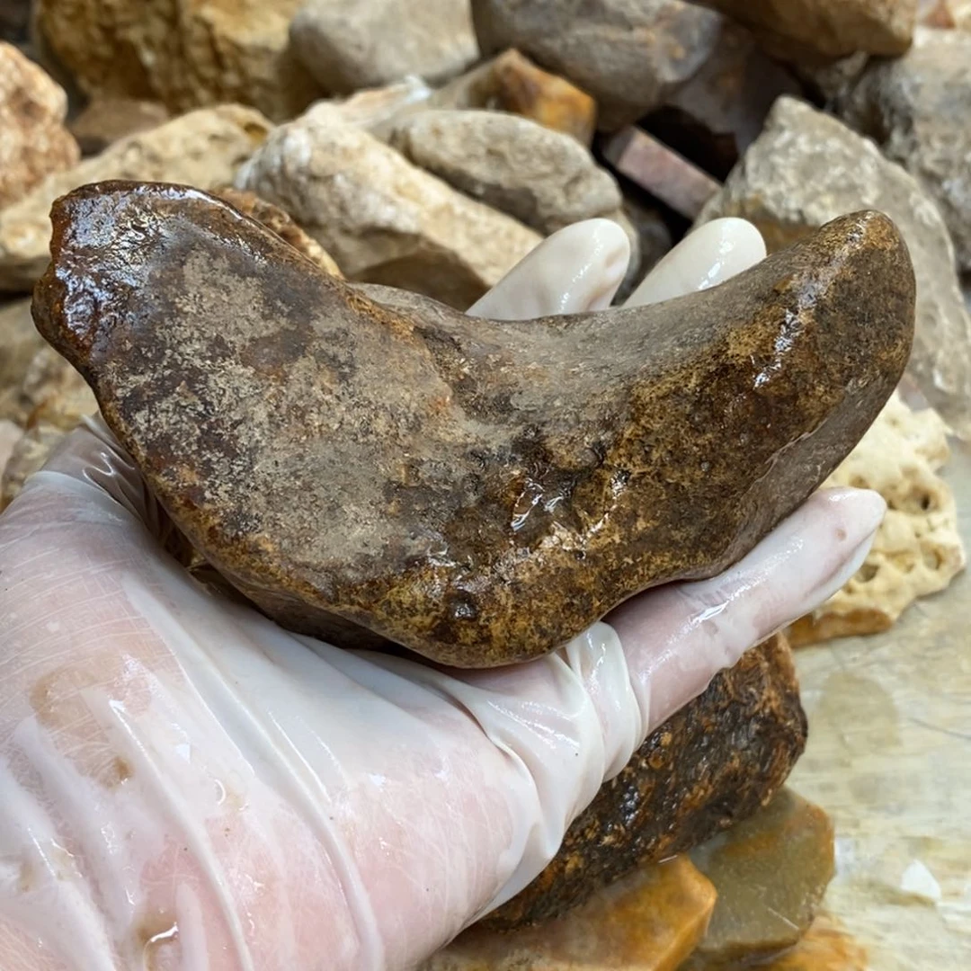 【闪购商品】硅化玉颈饰未镶嵌