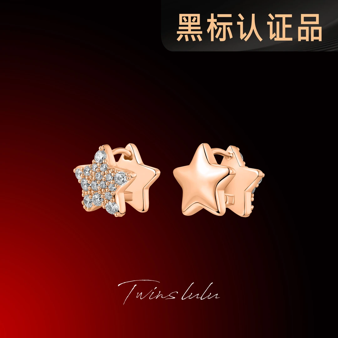 TWINSLULU镀k金 时尚百搭镶嵌轻奢气质两面戴星星耳环TSL2165