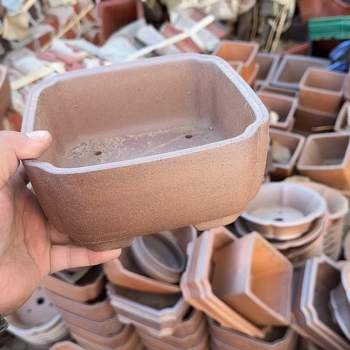 在干嘛的我还以为自己没看完这