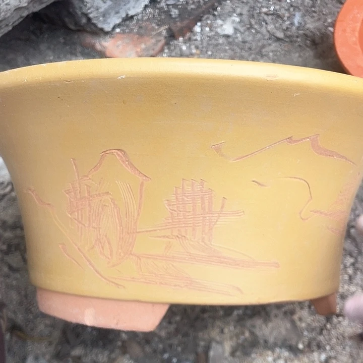 紫砂33黄票口花盆花盆