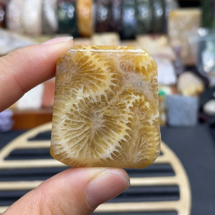 硅化玉未镶嵌颈饰k1