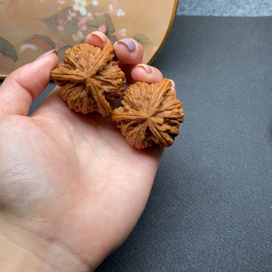 随*白狮子21111111111