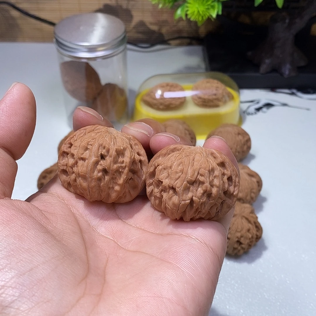 核桃41尺正磨，全品红皮，131号