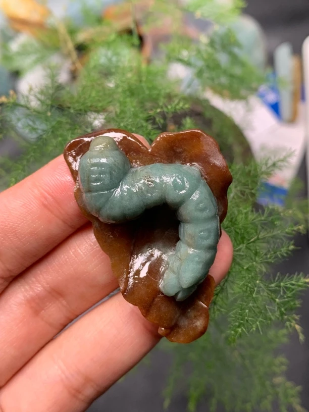 天然缅甸翡翠特色红皮蚕宝宝