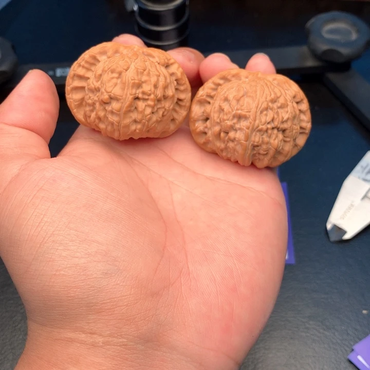 文玩核桃把件11号48全品闷白