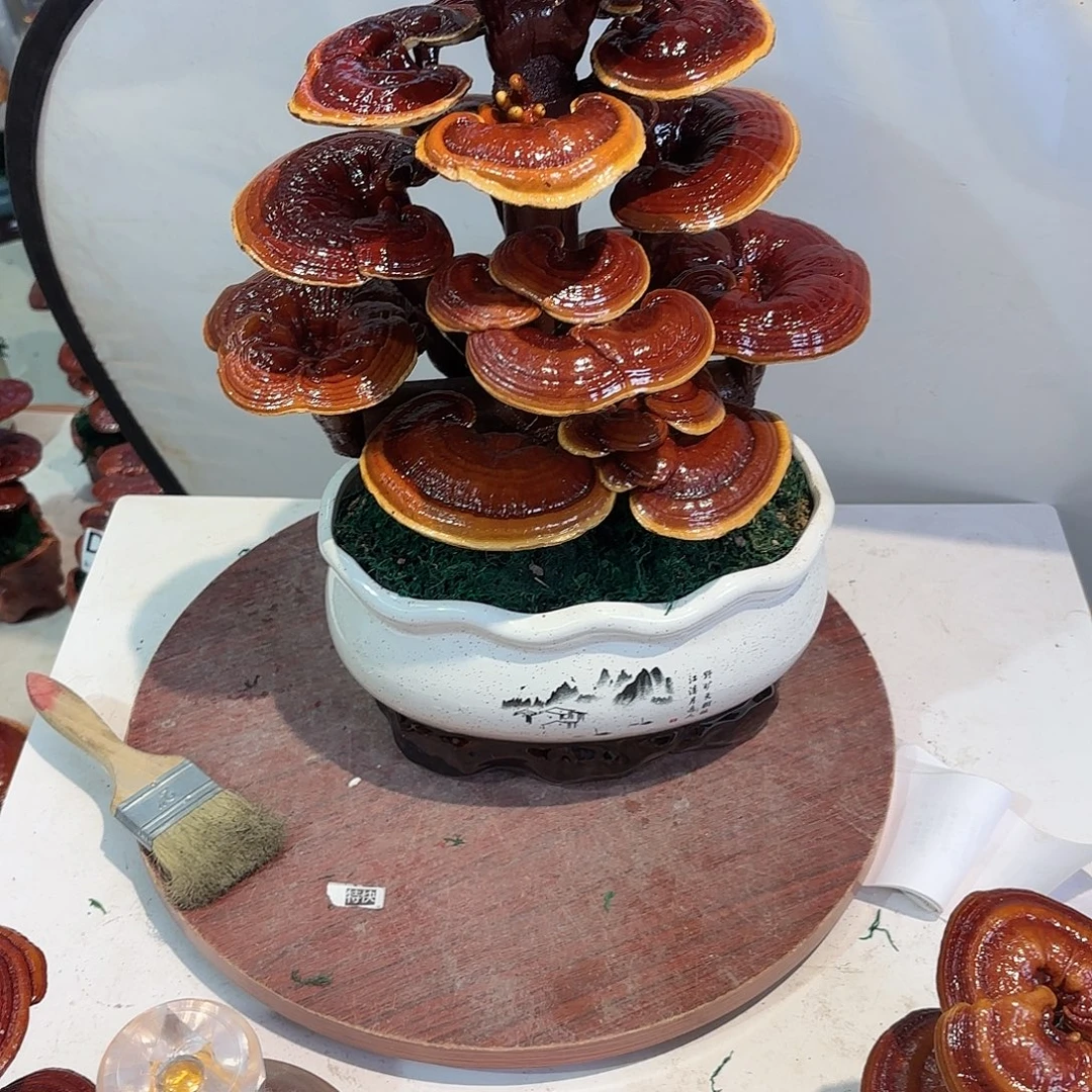 琳***训无花朵8888588888888888888