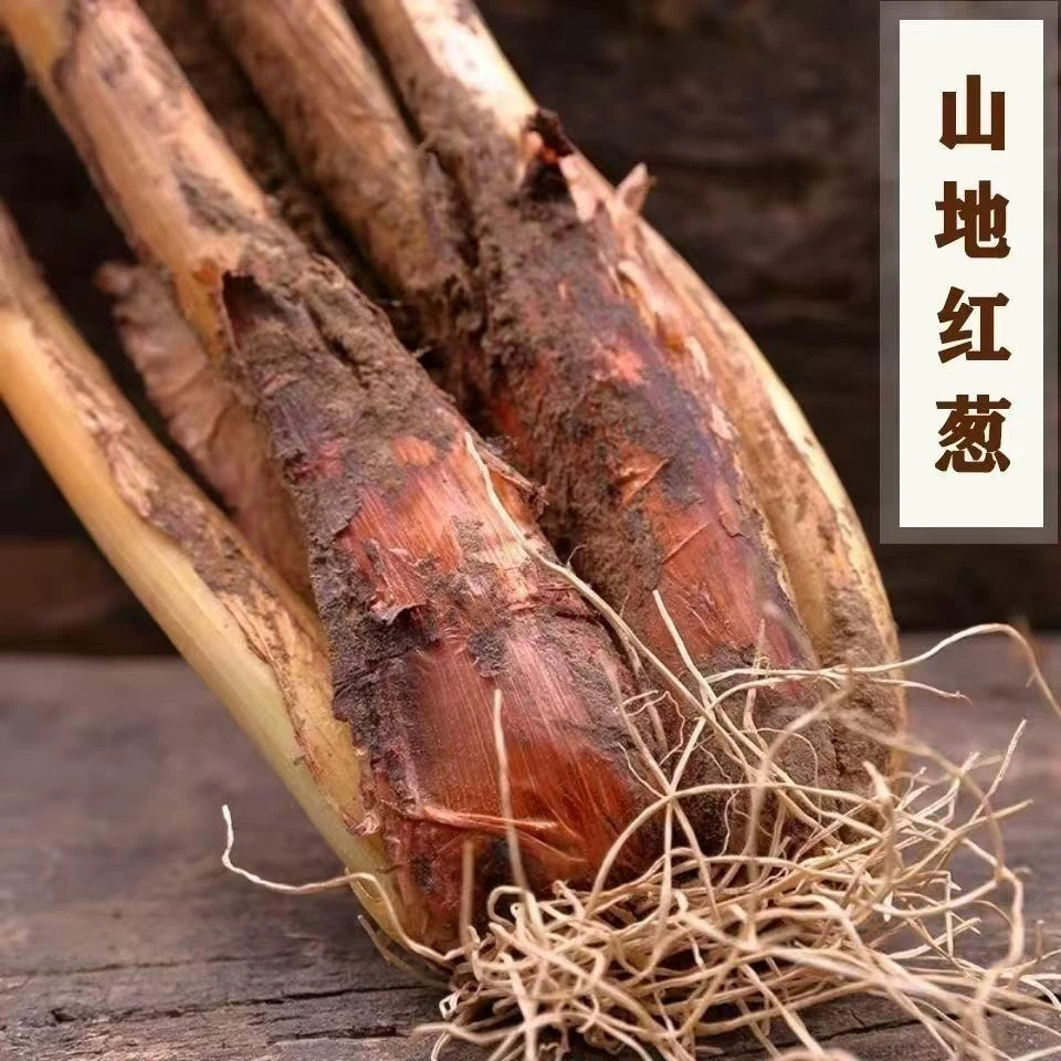 甘肃靖远红葱红皮味浓适合炒菜煮肉农家自种