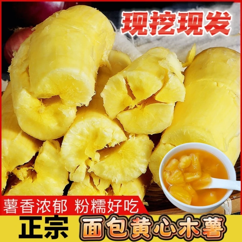 广西面包黄心木薯糖水羹现挖现发正宗黄肉木薯新鲜木薯糖水店专用