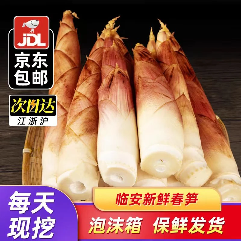 临安天目山雷笋新鲜现挖春笋竹笋油焖当季蔬菜鲜笋鲜嫩爽口