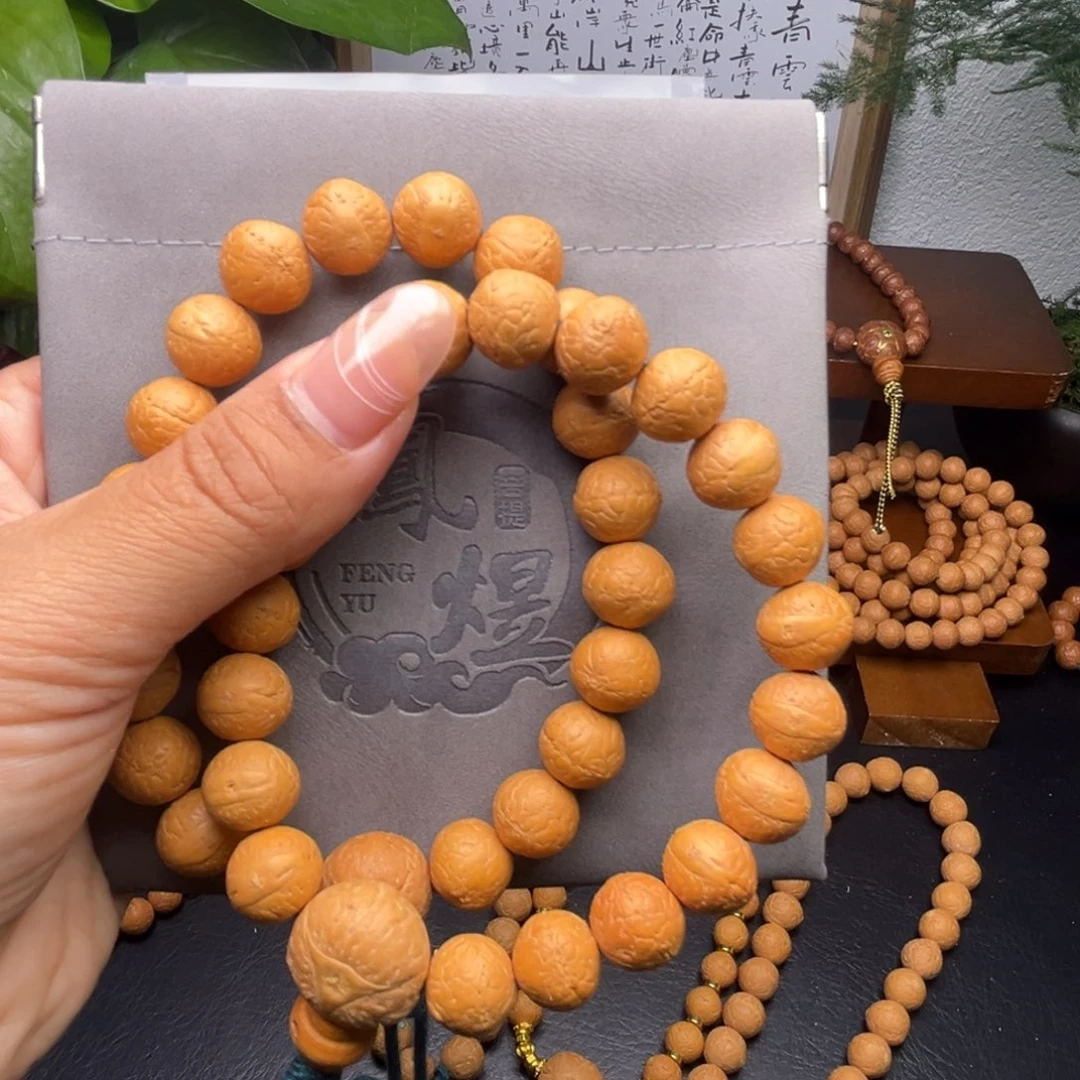 菩提籽类尼泊尔凤眼菩提