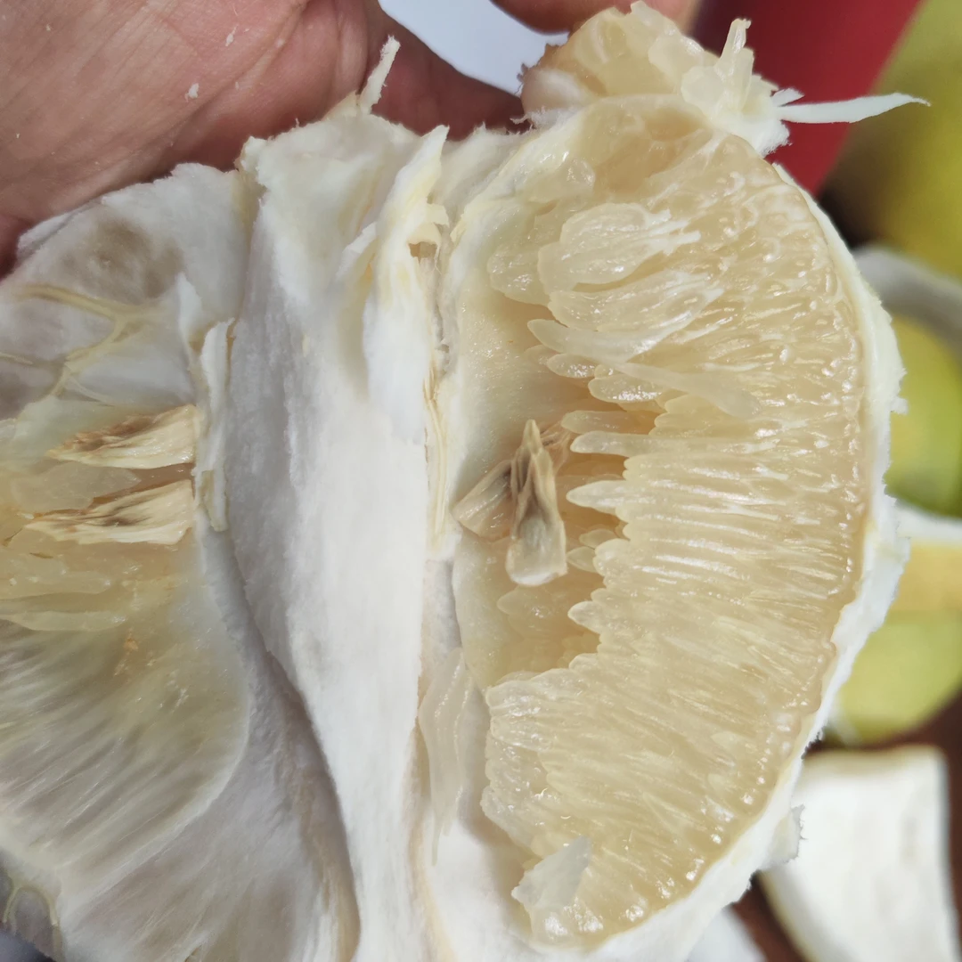 蓬溪县村干部小吴推荐（农家冰糖柚）
