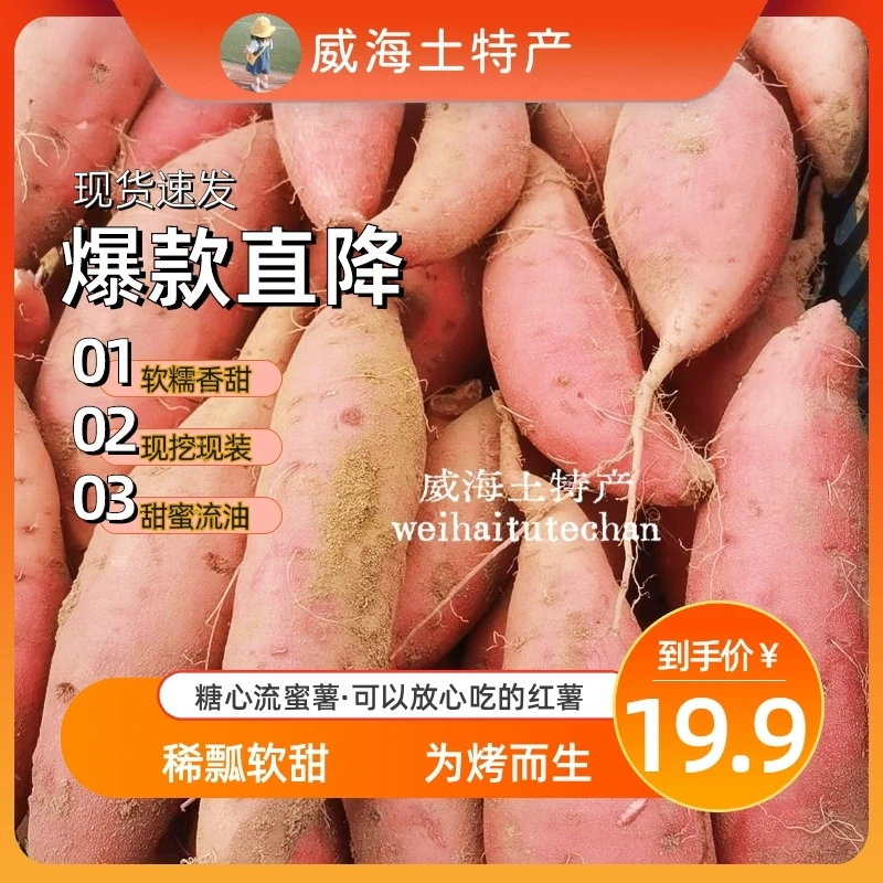山东烟薯25蜜薯批发无筋无丝烤薯店红心红薯糖心番薯新鲜六鳌蜜薯