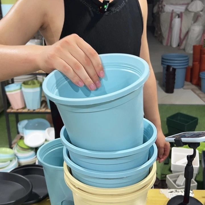 圆形控根口18高18混色无托5支