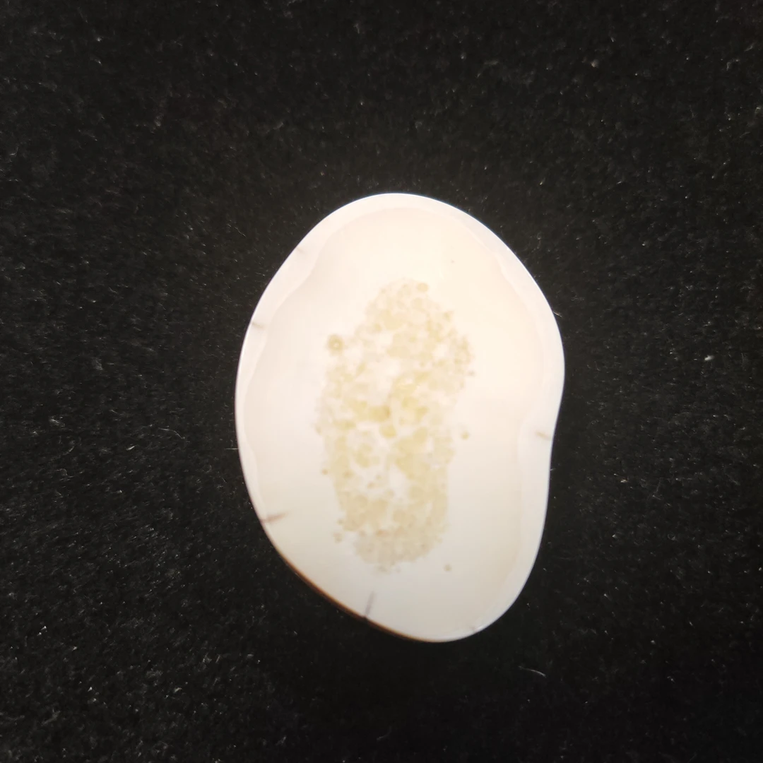 猛犸猛犸虬饼子WW580