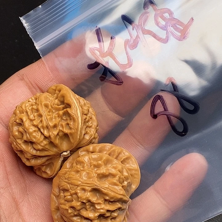 【闪购商品】文玩核桃把件抬*看灯灯