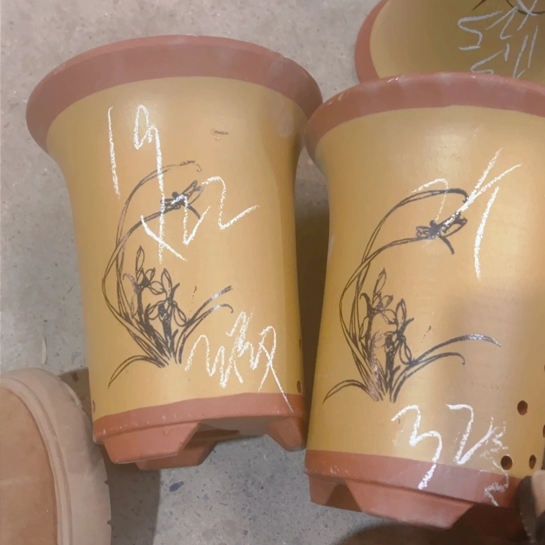 紫砂32………………………………