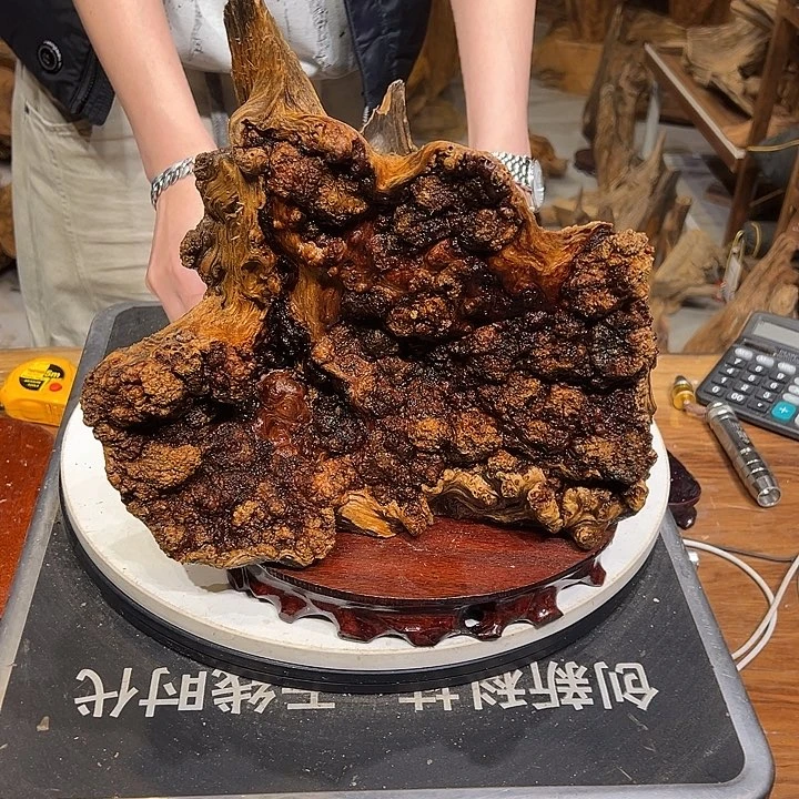 松木（琥珀木）毛*