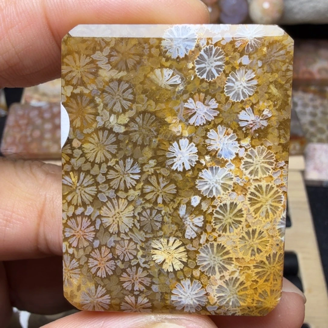 硅化玉未镶嵌天然有机玉石保真色