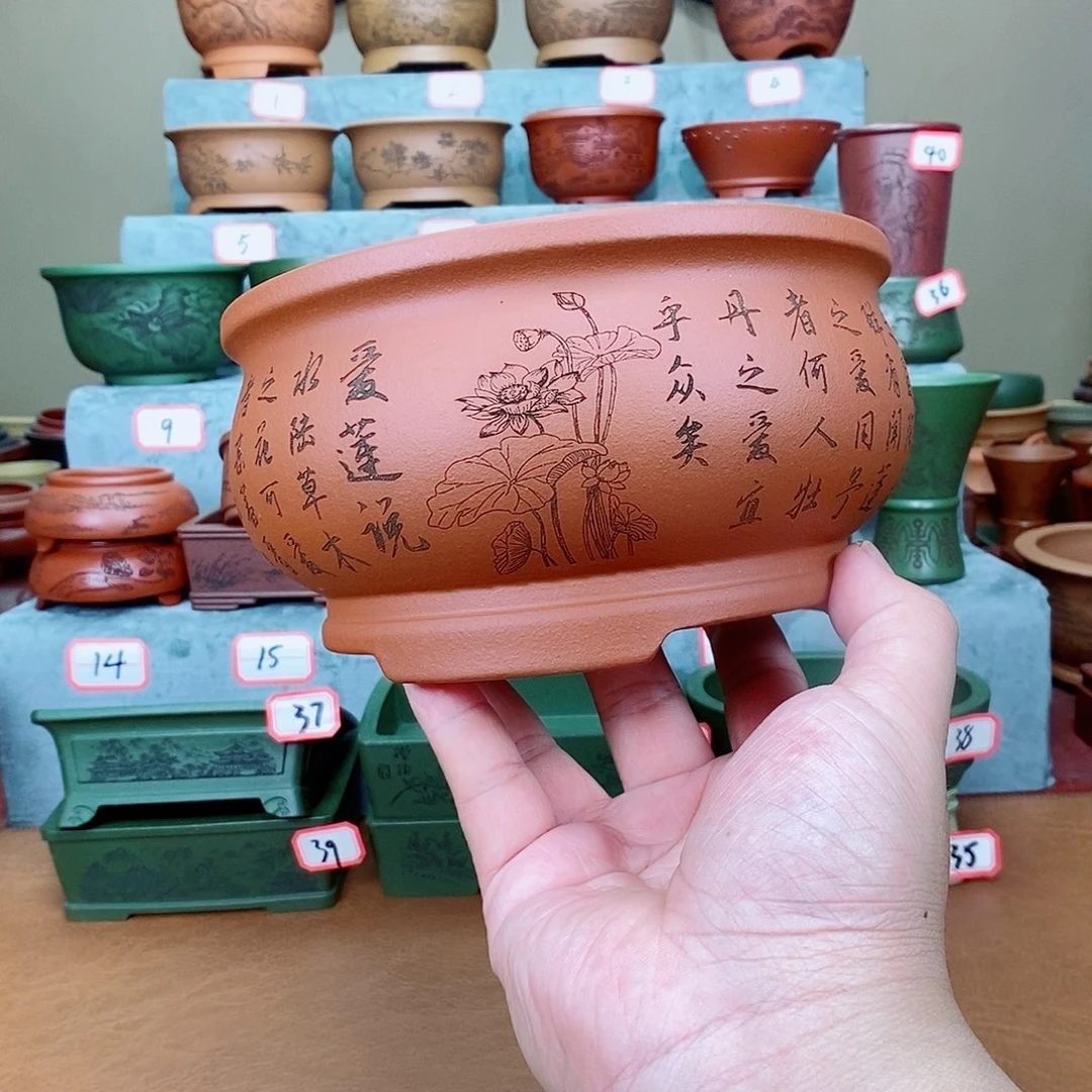 紫砂花盆我在看书啊