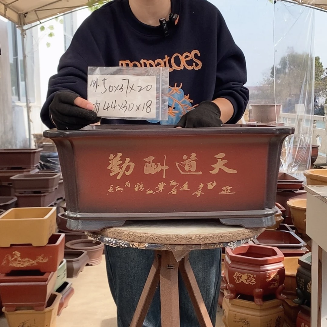紫砂花盆紫砂花盆